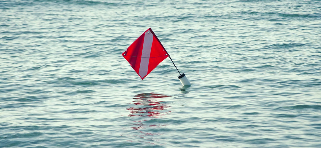 Red Flags to watch out for
